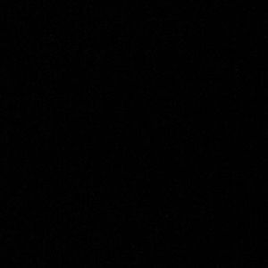 Meet your Posher, Jackson